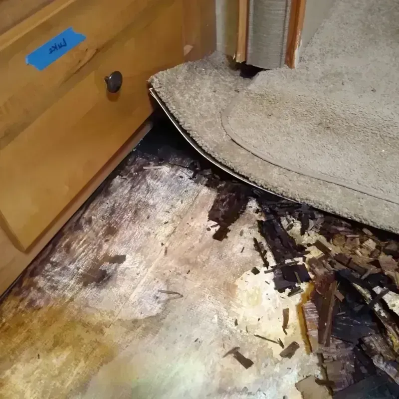 Best Wood Floor Water Damage Service in Haralson County, GA